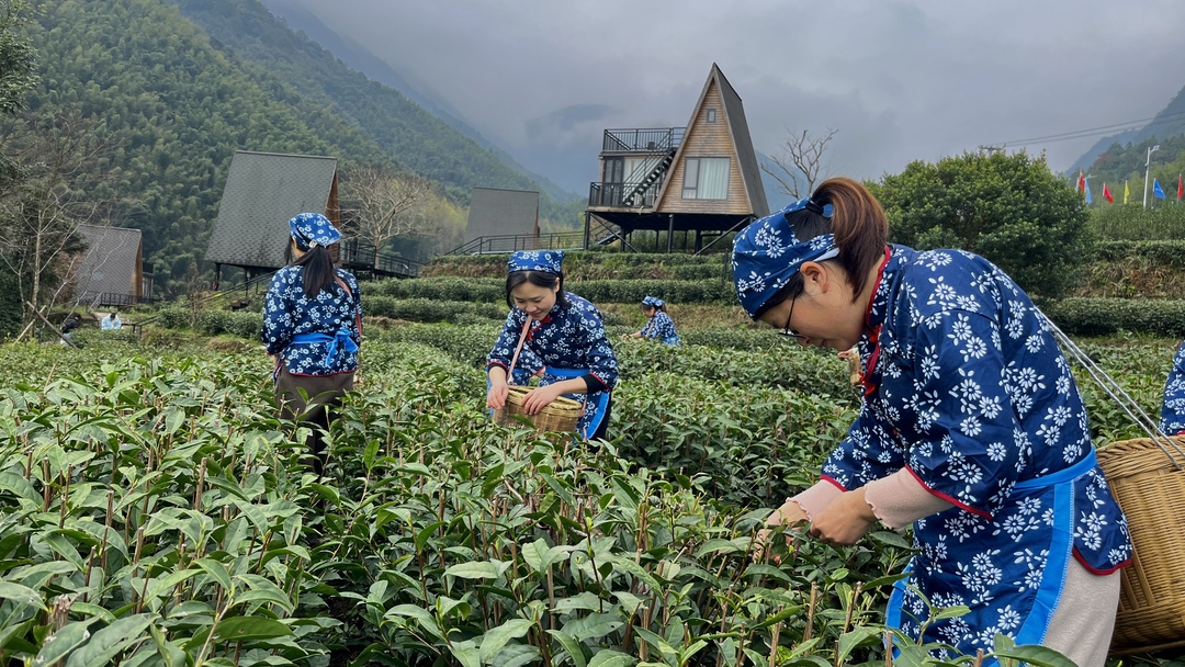 營(yíng)前片區(qū)各醫(yī)院聯(lián)合開展慶 “三八” 國(guó)際婦女節(jié)春游活動(dòng)